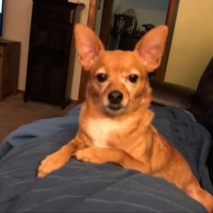 Meet your Posher, Heidi